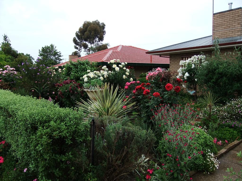 רותרגלן Admurraya House Bed & Breakfast מראה חיצוני תמונה