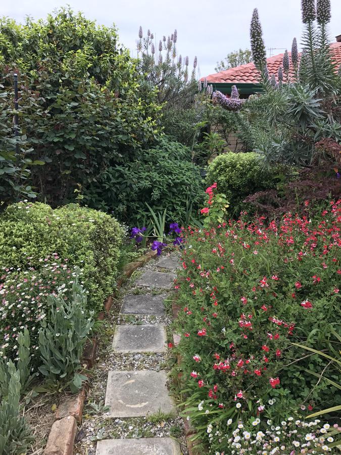 רותרגלן Admurraya House Bed & Breakfast מראה חיצוני תמונה