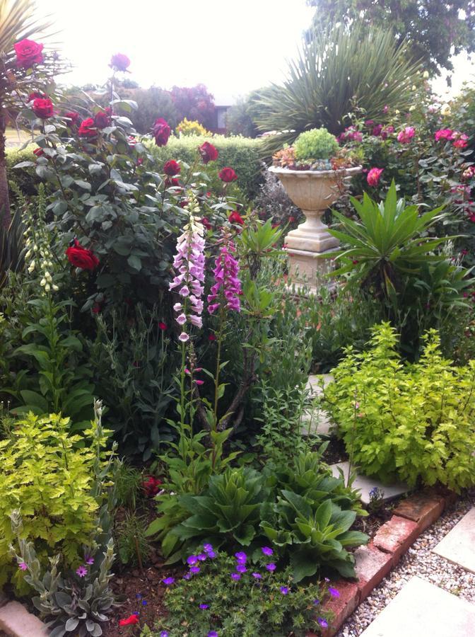 רותרגלן Admurraya House Bed & Breakfast מראה חיצוני תמונה